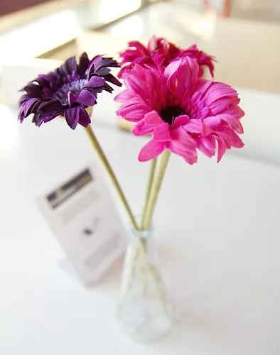 Fusion بيت شباب